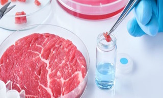 Лабораторный анализ пищевых продуктов по СанПиН в Балтийске в октябре