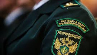 Подготовка к проверке Росприроднадзора в Балтийске от ПромМир-Блт, стоимость услуги от 20390 руб.